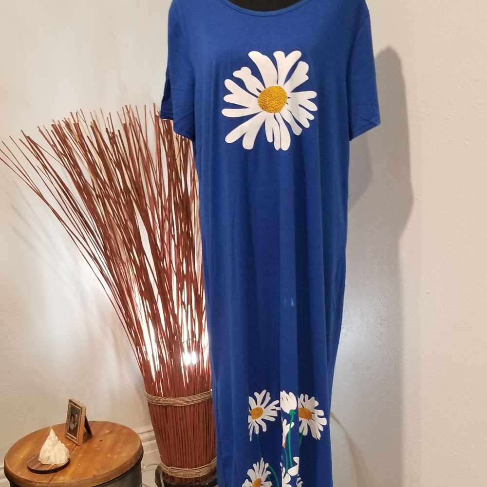 Fun  blue and white daisy dress